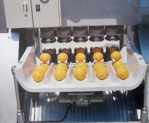 Elaboracion de zumos o jugos de citricos de calidad
