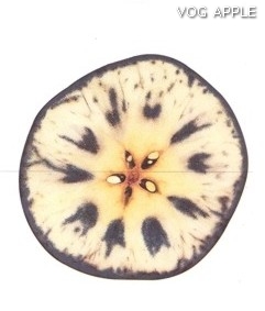 Test almidon fruta pepita tipo Lainburg estado 06
