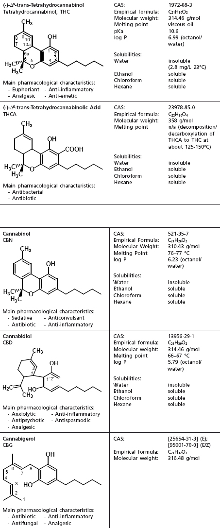 Cannabis sativa. Componentes químicos de importancia forense