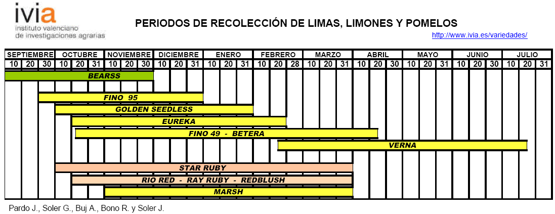 Produccion integrada citricos Calendario de recoleccion limas limones y pomelos